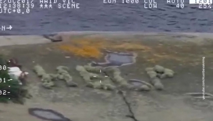 Русский Робинзон: на шведском необитаемом острове нашли россиянина Русский Робинзон: на шведском необитаемом острове нашли россиянина