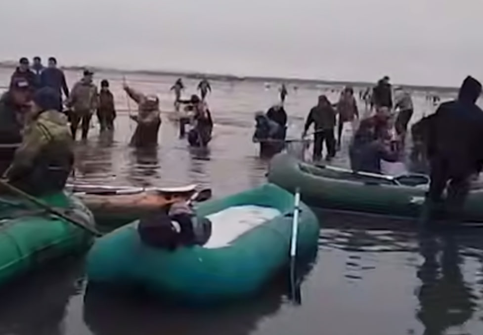 Селедочный ажиотаж в Магадане: рыбу гребут ведрами и сачками | В Магадане ловят селедку ведрами на Ольском лимане Селедочный ажиотаж в Магадане: рыбу гребут ведрами и сачками | В Магадане ловят селедку ведрами на Ольском лимане