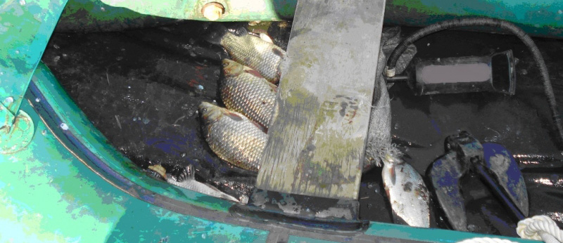 Сотрудники Приобского линейного пункта полиции выявили факт незаконного вылова рыбы Сотрудники Приобского линейного пункта полиции выявили факт незаконного вылова рыбы