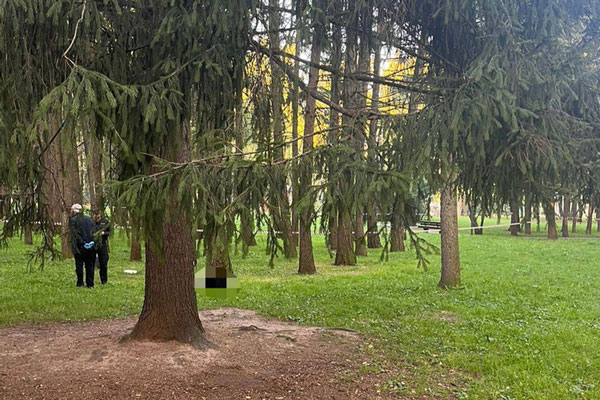 Известный травматолог стал жертвой палача, отсекающего головы Известный травматолог стал жертвой палача, отсекающего головы