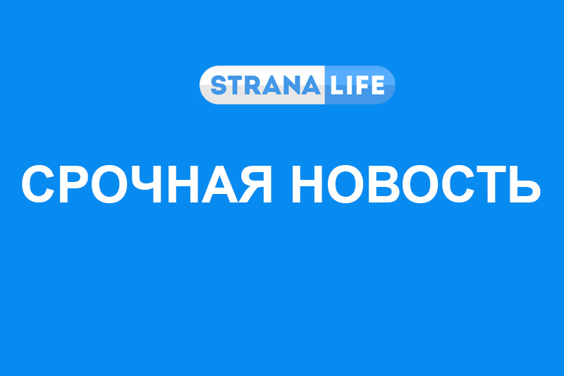 Смертник взорвал 14 человек в Камеруне Смертник взорвал 14 человек в Камеруне