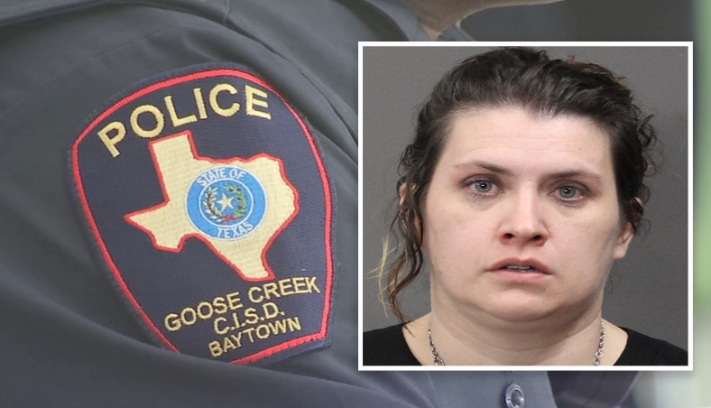 Арестована замдиректора школы, прятавшая кокаин в школьном туалете