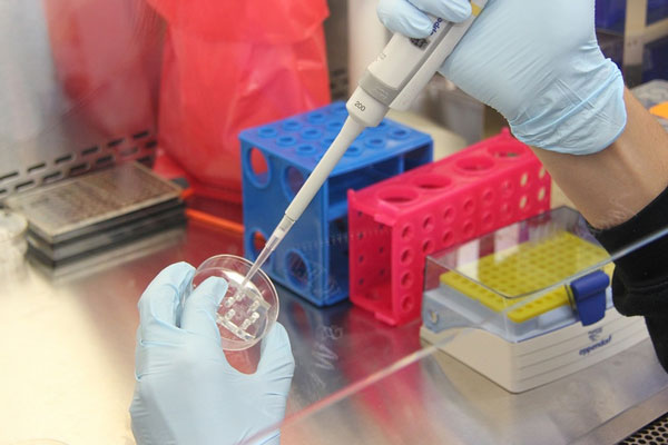 Аллерголог объяснил, можно ли пить воду перед сдачей анализа крови Аллерголог объяснил, можно ли пить воду перед сдачей анализа крови