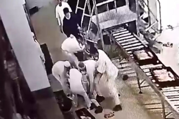 Работники подольского хлебокомбината устроили дуэль на батонах из-за дамы | В Подольске работники хлебокомбината устроили массовую драку батонами Работники подольского хлебокомбината устроили дуэль на батонах из-за дамы | В Подольске работники хлебокомбината устроили массовую драку батонами