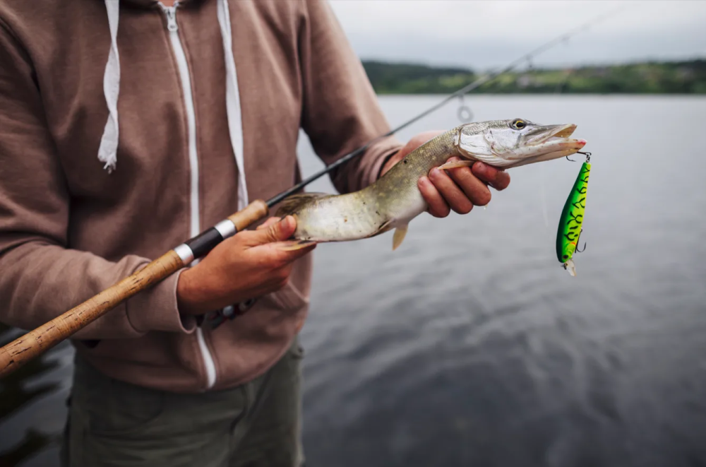 Рыбалку открыли по всей России: где сейчас клюёт лучше всего и куда ехать за уловом | Рыбалка открыта по всей России: топ‑мест с лучшим клёвом в этом сезоне Рыбалку открыли по всей России: где сейчас клюёт лучше всего и куда ехать за уловом | Рыбалка открыта по всей России: топ‑мест с лучшим клёвом в этом сезоне