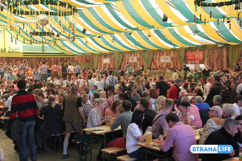 Весело, пенно, шумно: венский пивной фестиваль во всей красе. ВИДЕО