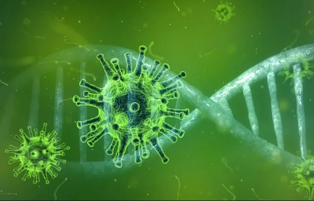 Версия: коронавирус распространяется по трубам канализации