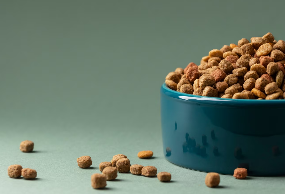 Россияне сократили траты на домашних животных на 19–26% Россияне сократили траты на домашних животных на 19–26%