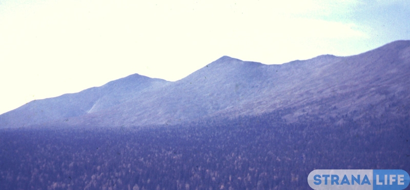 Уральские горы, таежные буреломы