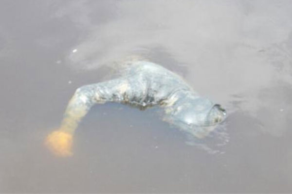 «Малыша намотало на винт». Лодочная прогулка обернулась для главы семейства сущим адом «Малыша намотало на винт». Лодочная прогулка обернулась для главы семейства сущим адом