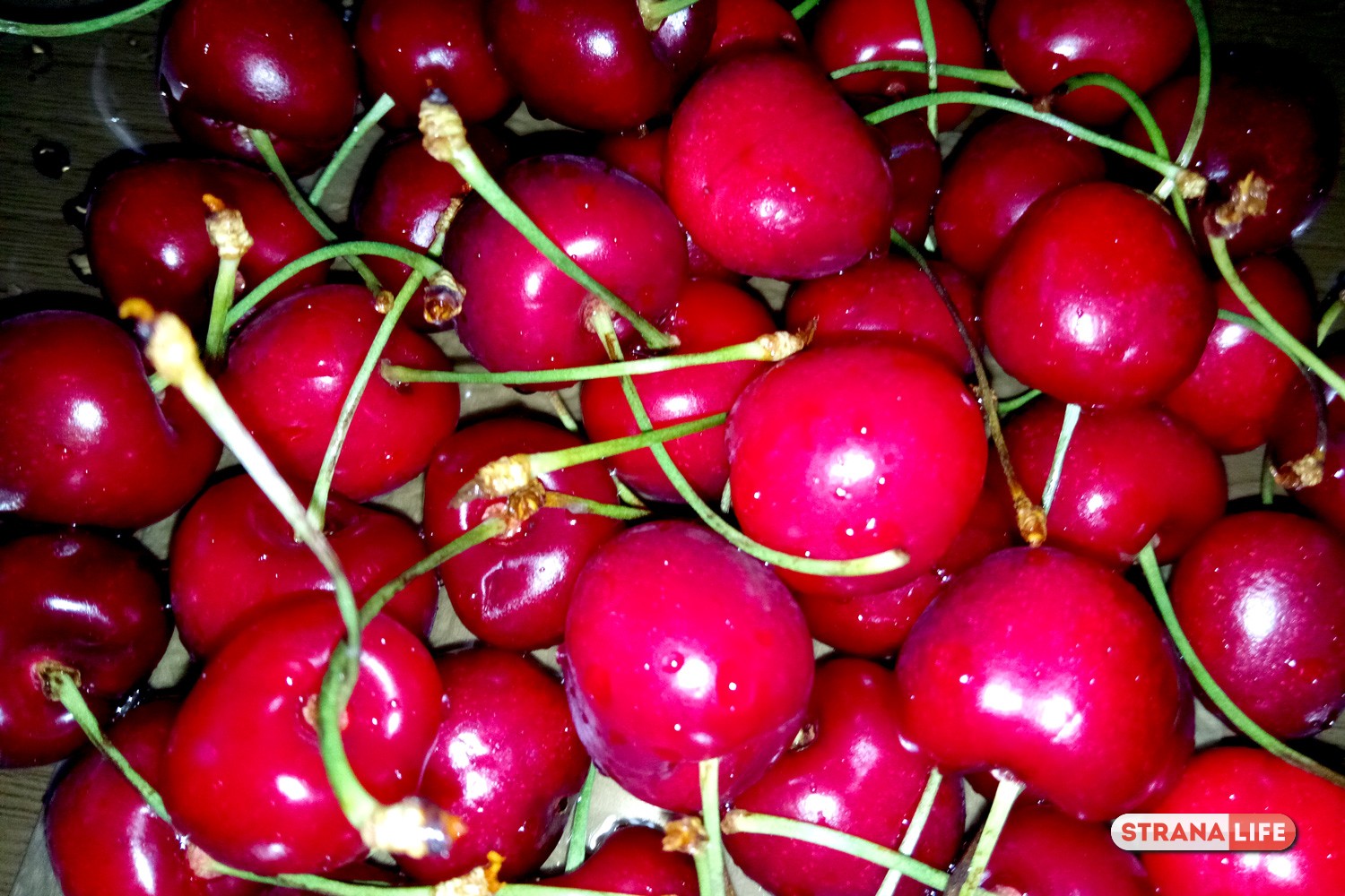 Семья из Наро-Фоминска отравилась, съев клубники и черешни Семья из Наро-Фоминска отравилась, съев клубники и черешни