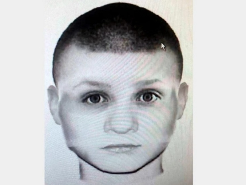 Похититель кенгурят: кто и зачем украл три детеныша из российских зоопарков | Появился фоторобот возможного похитителя кенгурят из российских зоопарков Похититель кенгурят: кто и зачем украл три детеныша из российских зоопарков | Появился фоторобот возможного похитителя кенгурят из российских зоопарков