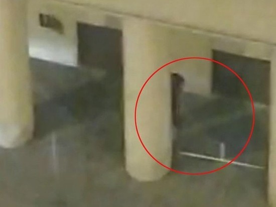 У стрелка Манюрова с Лубянки нашли символику "пропутинского движения" У стрелка Манюрова с Лубянки нашли символику "пропутинского движения"