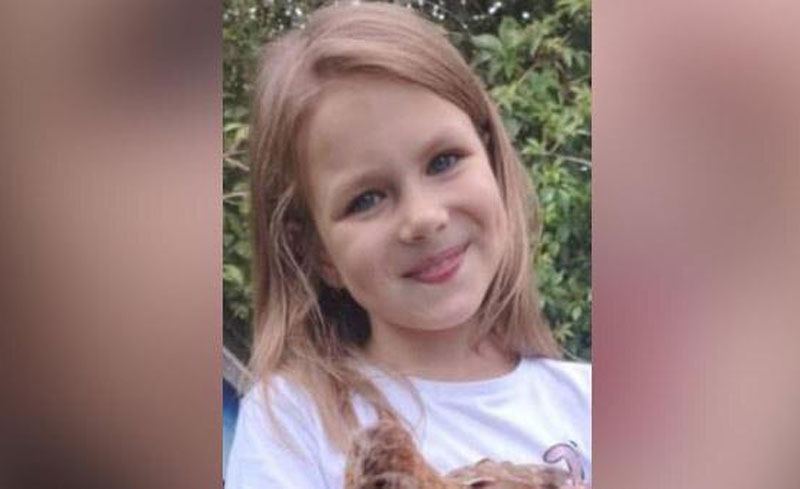 В Смоленске ищут 9-летнюю девочку, исчезнувшую после прогулки с собакой | В Смоленске пропала 9-летняя девочка: продолжаются поиски