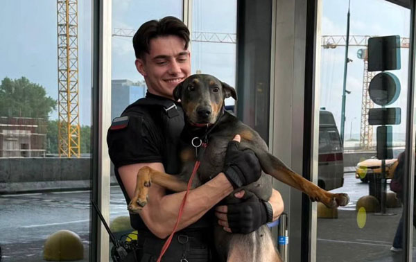 Игнатий - новый секс-символ аэропорта «Внуково»: как обычный охранник стал звездой соцсетей и сердец миллионов. Видео | 23-летний охранник из аэропорта «Внуково» - новая звезда, покоряющая сердца и соцсети Игнатий - новый секс-символ аэропорта «Внуково»: как обычный охранник стал звездой соцсетей и сердец миллионов. Видео | 23-летний охранник из аэропорта «Внуково» - новая звезда, покоряющая сердца и соцсети