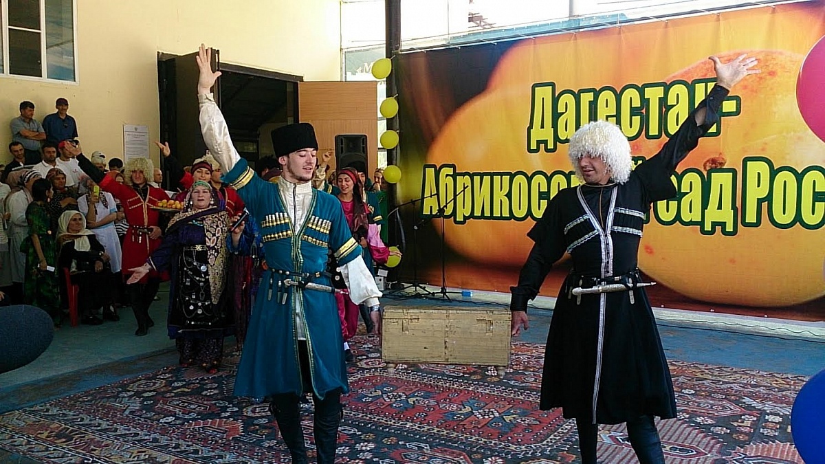 В Дагестане прошел первый фестиваль абрикоса В Дагестане прошел первый фестиваль абрикоса