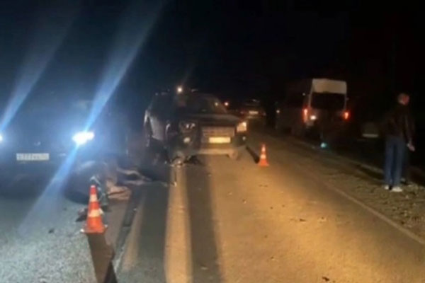 В Нижегородской области пять человек оказались в реанимации после встречи с лосем В Нижегородской области пять человек оказались в реанимации после встречи с лосем