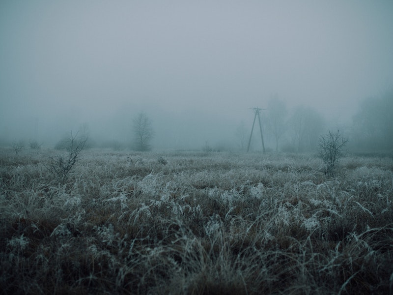 Рекордные заморозки в Подмосковье: Можайск и Клин обновили температурные минимумы | Синоптики зафиксировали в Подмосковье рекордны заморозки Рекордные заморозки в Подмосковье: Можайск и Клин обновили температурные минимумы | Синоптики зафиксировали в Подмосковье рекордны заморозки