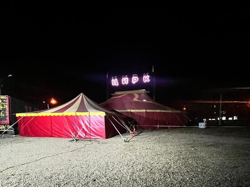 Цирковая пантера напала на трехлетнего ребенка в Иркутской области Цирковая пантера напала на трехлетнего ребенка в Иркутской области