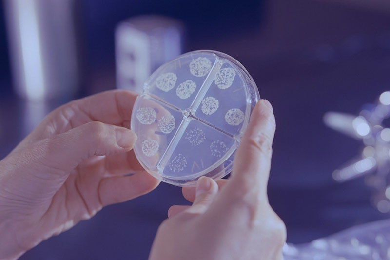 Найдена замена антибактериальным средствам и антибиотикам | Small: ученые придумали, как бороться с бактериями с помощью меди Найдена замена антибактериальным средствам и антибиотикам | Small: ученые придумали, как бороться с бактериями с помощью меди