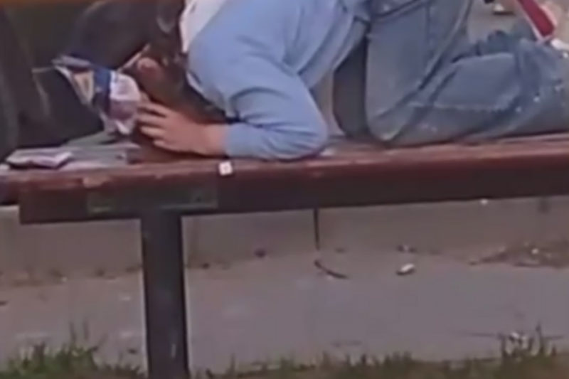 В Кстово девушка-квадробер в маске кошки съела корм со скамейки на улице | Нижегородская девушка-квадробер съела кошачий корм с лавки на улице В Кстово девушка-квадробер в маске кошки съела корм со скамейки на улице | Нижегородская девушка-квадробер съела кошачий корм с лавки на улице