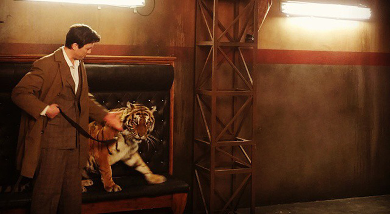 Дрессировщик Аскольд Запашный попал в больницу после нападения тигрицы