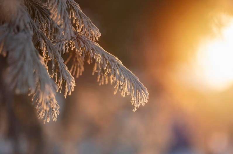 Что нельзя делать 18 января в Крещенский сочельник: запреты и приметы | 18 января Крещенский сочельник