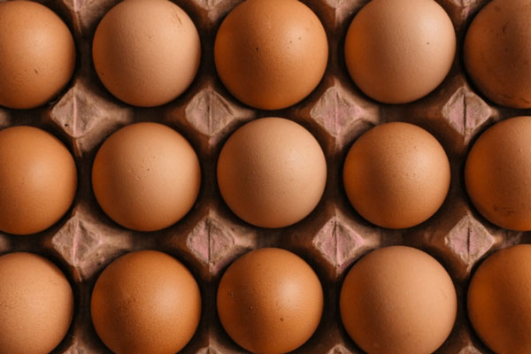 Кардиологи советуют перейти на обогащенные куриные яйца | Назван тип куриных яиц, не повышающих холестерин Кардиологи советуют перейти на обогащенные куриные яйца | Назван тип куриных яиц, не повышающих холестерин