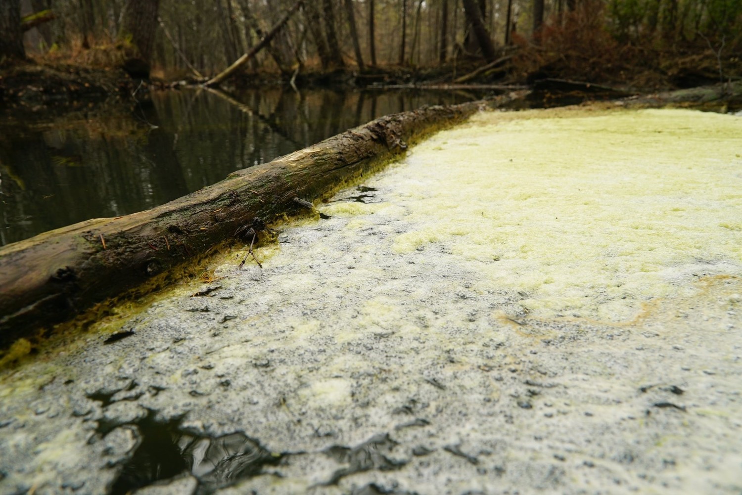 В Екатеринбурге показали фильм о том, как промышленники променяли экологию на ледовый дворец