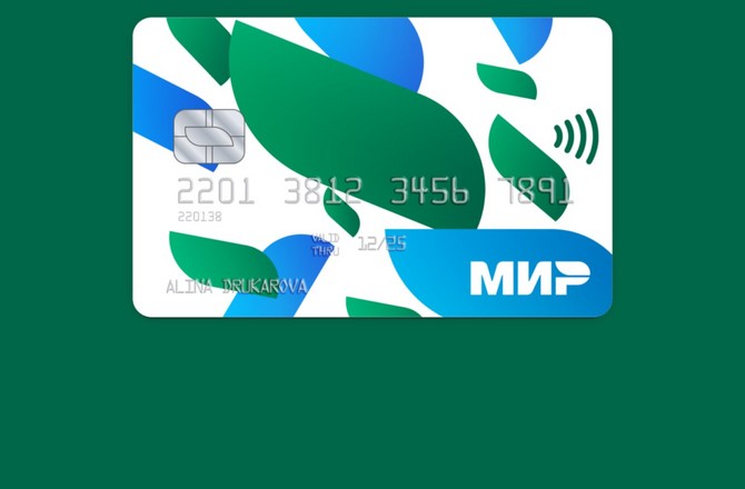 В Турции прошли протесты против прекращения использования системы «Мир» В Турции прошли протесты против прекращения использования системы «Мир»