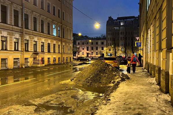 Жители Санкт-Петербурга запустили петицию из-за отсутствия уборки улиц