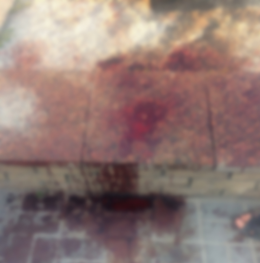 Жестокая расправа над молодым мужчиной произошла в центре Ростова Жестокая расправа над молодым мужчиной произошла в центре Ростова