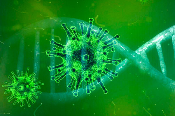 Китайские ученые сообщили об открытии антитела, нейтрализующего все штаммы коронавируса