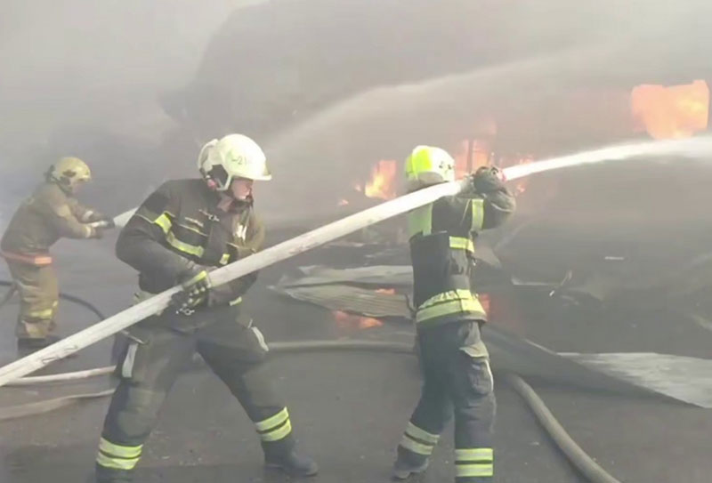 Трагедия в волгоградском приюте для животных: около 30 собак погибли в огне | Около 30 собак сгорели при пожаре в частном приюте в Волгограде Трагедия в волгоградском приюте для животных: около 30 собак погибли в огне | Около 30 собак сгорели при пожаре в частном приюте в Волгограде