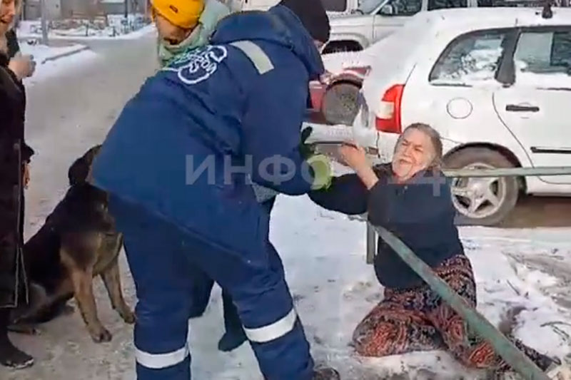 «Не забирайте Найду!»: как пенсионерка пыталась спасти собаку от отлова в Красноярске | В Красноярске пенсионерка пыталась остановить отлов мирной собаки Найды «Не забирайте Найду!»: как пенсионерка пыталась спасти собаку от отлова в Красноярске | В Красноярске пенсионерка пыталась остановить отлов мирной собаки Найды
