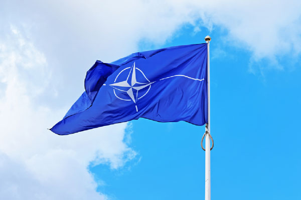 The Times заподозрила Трампа в способности распустить НАТО уже на этой неделе | Президент США Дональд Трамп может распустить НАТО в любой момент The Times заподозрила Трампа в способности распустить НАТО уже на этой неделе | Президент США Дональд Трамп может распустить НАТО в любой момент