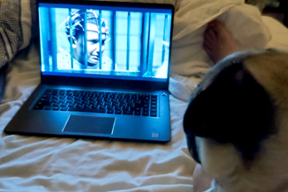 Сомнолог рассказал о пользе сериалов перед сном Сомнолог рассказал о пользе сериалов перед сном