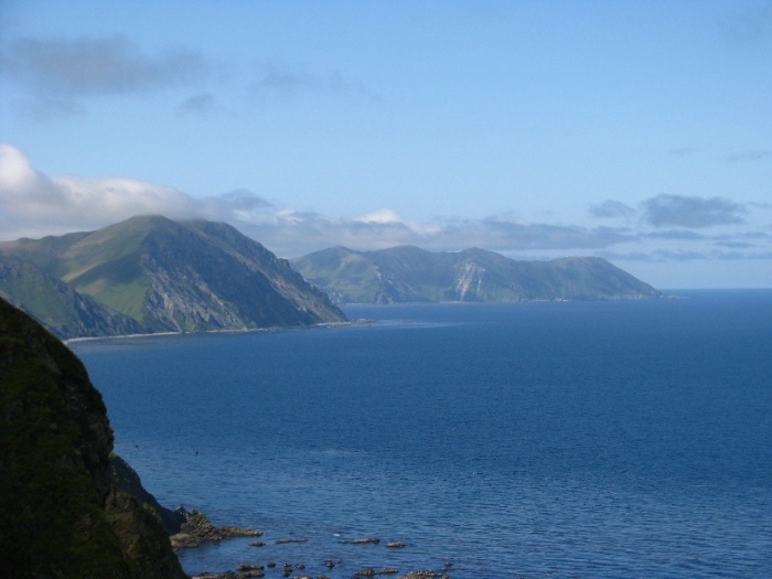 «Не дружит с головой»: в России высмеяли идею США купить Командорские острова | В Совфеде отреагировали на предложение США купить Командорские острова «Не дружит с головой»: в России высмеяли идею США купить Командорские острова | В Совфеде отреагировали на предложение США купить Командорские острова