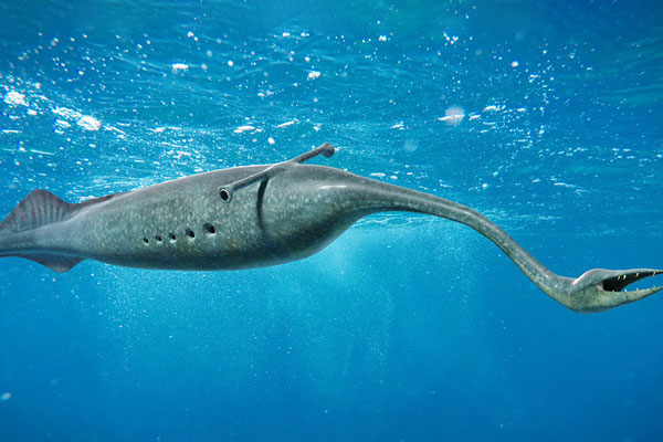 Загадка для биологов: Почему странного зверя по прозвищу Тулли не удаётся классифицировать Загадка для биологов: Почему странного зверя по прозвищу Тулли не удаётся классифицировать