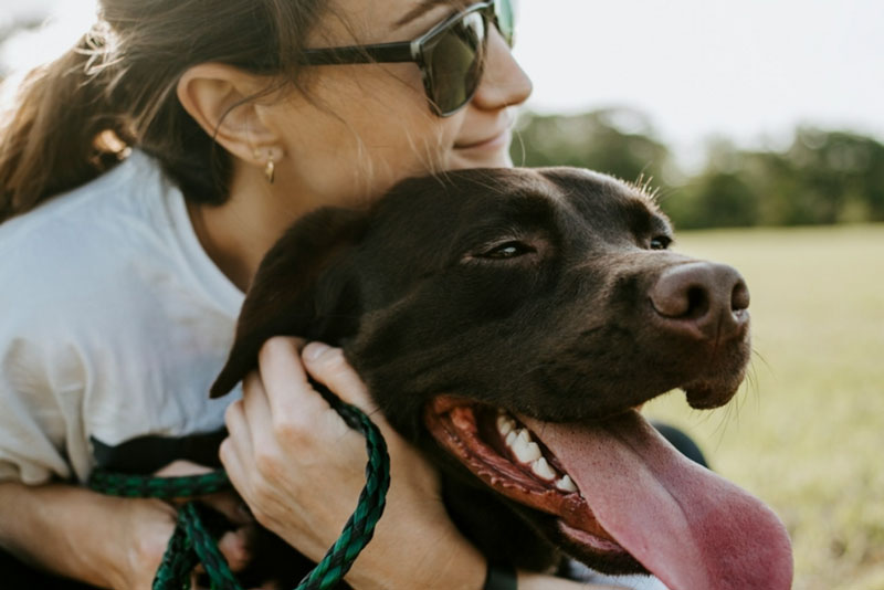 В России появились аферисты, вымогающие деньги угрозами изъять домашних животных | Россиян предупредили о мошенниках, угрожающих забрать домашних животных В России появились аферисты, вымогающие деньги угрозами изъять домашних животных | Россиян предупредили о мошенниках, угрожающих забрать домашних животных