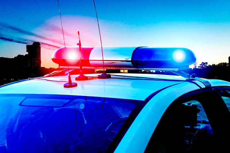 Жуткий скандал в Казахстане: детей кормили мясом кошек и собак, приемные родители истязали | Родители истязали и кормили мясом кошек и собак приёмных детей в Казахстане Жуткий скандал в Казахстане: детей кормили мясом кошек и собак, приемные родители истязали | Родители истязали и кормили мясом кошек и собак приёмных детей в Казахстане