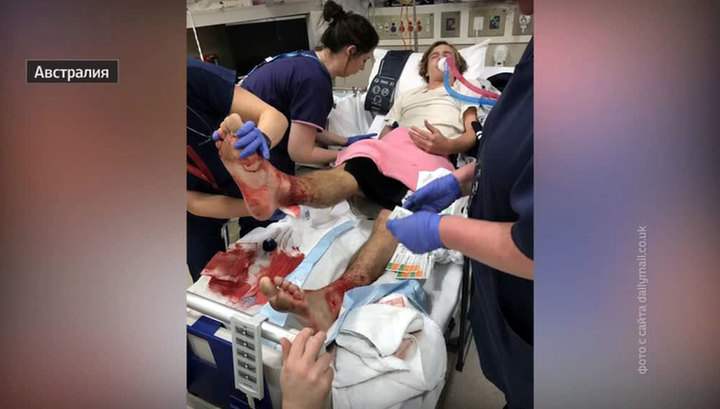 В Австралии голодные рачки обгладывают ноги купальщиков