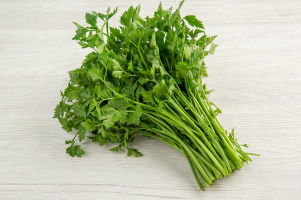 "Зелень — это сила!" - Пять самых полезных видов зелени для вашего здоровья | Петрушка закроет потребности в витамине С, а укроп в калие "Зелень — это сила!" - Пять самых полезных видов зелени для вашего здоровья | Петрушка закроет потребности в витамине С, а укроп в калие