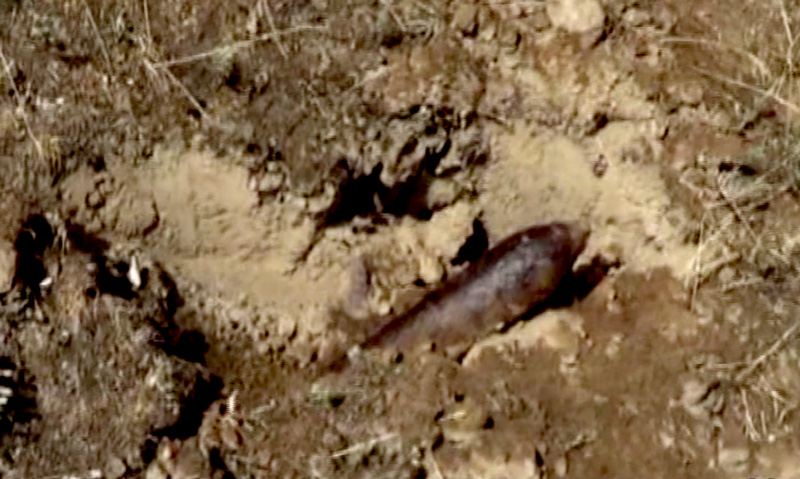 В Оренбургской области саперами ОМОН уничтожен артиллерийский снаряд В Оренбургской области саперами ОМОН уничтожен артиллерийский снаряд