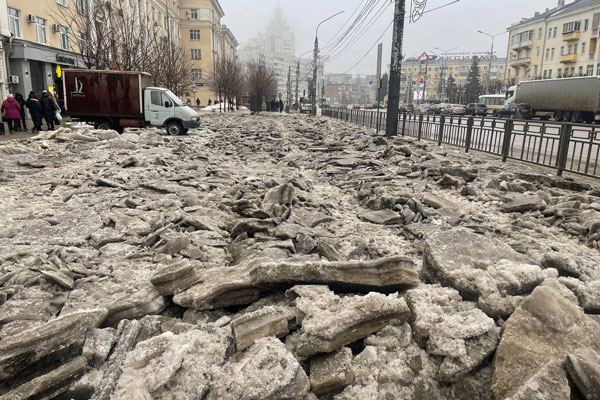 Жители Воронежа запустили петицию об отставке мэра из-за плохой уборки города