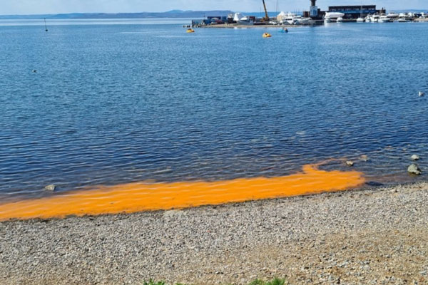 Побережье моря во Владивостоке окрасилось в оранжевый цвет из-за водорослей | Море во Владивостоке окрасилось в оранжевый цвет Побережье моря во Владивостоке окрасилось в оранжевый цвет из-за водорослей | Море во Владивостоке окрасилось в оранжевый цвет