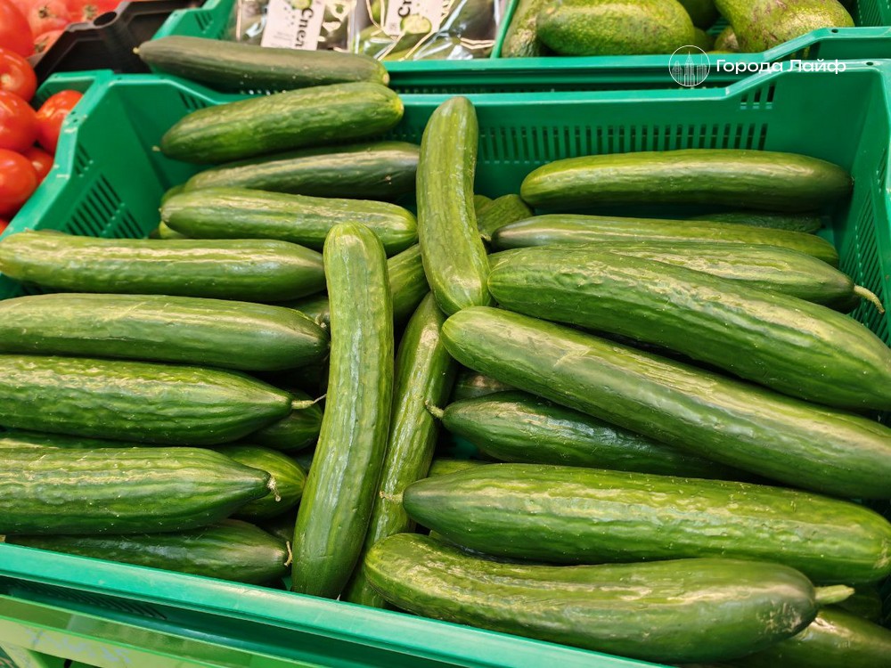 В Новосибирске супермаркеты ограничили продажу огурцов до 5 кг на покупателя | В Новосибирске огурцы продают не более 5 кг в одни руки на фоне роста цен