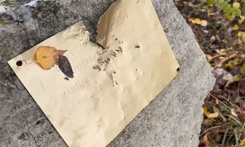 Юрист объяснил, почему устное увольнение Жидкова не имеет юридической силы | Жидков может подать в суд на губернатора Самарской области за мат Юрист объяснил, почему устное увольнение Жидкова не имеет юридической силы | Жидков может подать в суд на губернатора Самарской области за мат