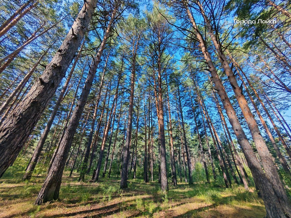 В Красноярском крае возобновили поиски семьи, пропавшей в горной тайге | Спасатели возобновили поиски семьи Усольцевых в Красноярском крае В Красноярском крае возобновили поиски семьи, пропавшей в горной тайге | Спасатели возобновили поиски семьи Усольцевых в Красноярском крае