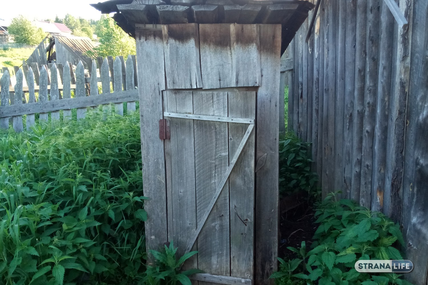 В Узбекистане три человека погибли, пока доставали из туалета чужой телефон В Узбекистане три человека погибли, пока доставали из туалета чужой телефон